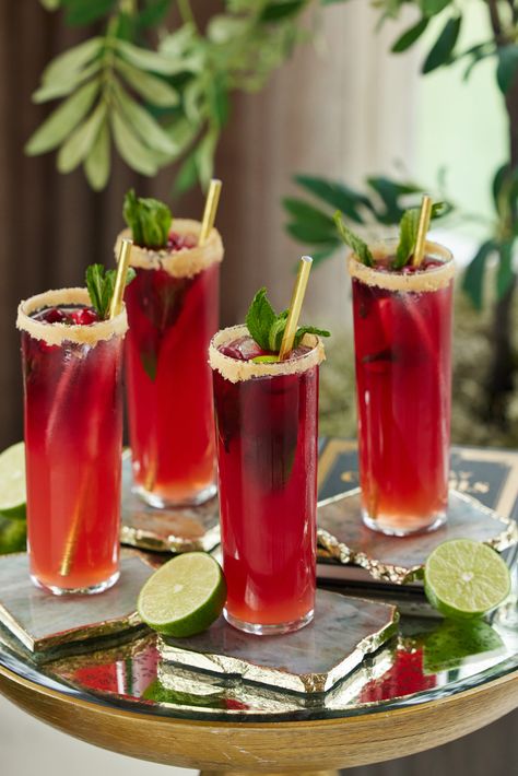 Blood Orange & Cranberry Mojito - Happily Eva After Blood Orange Ginger Cranberry Mojito, Cranberry Mojito Recipe, Carnival Drinks, Blood Orange Mocktail, Christmas Mojito, Cranberry Mojito, Christmas Themed Cocktails, Cranberry Sangria, Clay Business