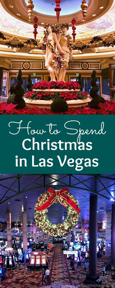 Vegas At Christmas, Christmas In Las Vegas, Vegas Christmas, Vegas Tips, Christmas In La, Las Vegas Tips, Las Vegas Christmas, Las Vegas Vacation, Vegas Vacation