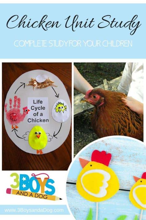 Activities For September, Farm Unit Study, Teaching Preschoolers, Books And Activities, Free Educational Printables, Unit Studies Homeschool, Farm Unit, Free Homeschool Printables, Hatching Chicks