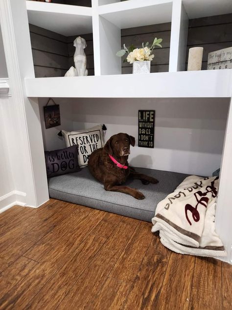 Office Dog Bed, Entry Closet Ideas, Dog Nook, Living Room Closet, Small Sitting Area, Dog Den, Bedroom Built Ins, Dog Corner, Tv Built In