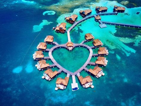 Overwater bungalows drone shot of Sandals Royal Caribbean nearby to Sandals montego bay Jamaica Resort Sandals Montego Bay Jamaica, Sandals Montego Bay, Water Bungalow, Polynesian Village Resort, Belize Resorts, Polynesian Resort, Luxury Couple, Caribbean Resort, Montego Bay Jamaica