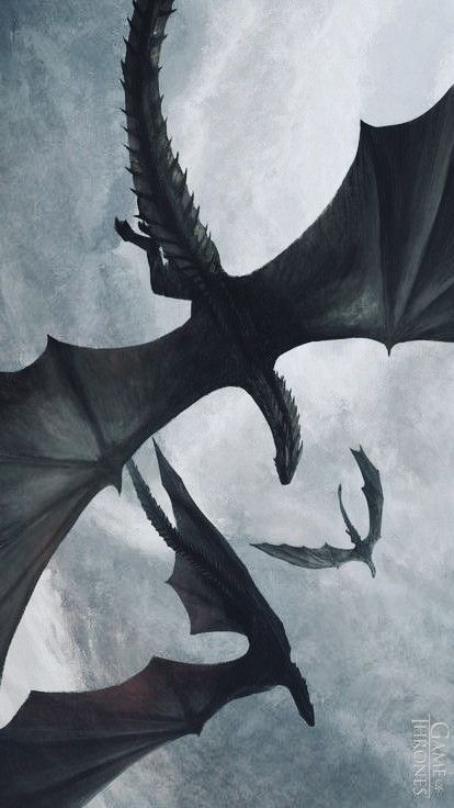 Wyvern Aesthetic, Hotd Dragon Wallpaper, Dragon Background Aesthetic, Wyvern Wallpaper, Dragon Astethic, Drogon Game Of Thrones Wallpaper, Dragon Aesthetic Wallpaper, Tairneanach Fourth Wing, Dragon Wallpaper Aesthetic