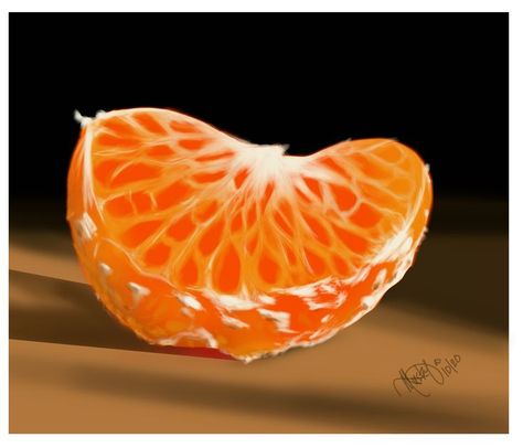 Still Life Orange, Orange Segment, Miles Johnston, Autodesk Sketchbook, Fruits Drawing, Draw And Paint, Gcse Art, Orange Art, Color Pencil Art