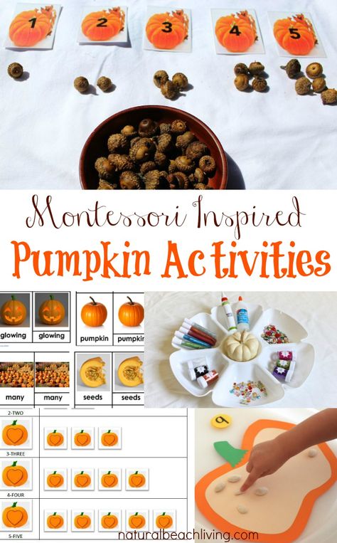 Perfect Fall Montessori Pumpkin Activities, Themed Learning Ideas, Nature Inspired, Halloween, Printables, 3 Part Cards, Crafts, Montessori Math & More Free Printables Preschool, Fall Pumpkin Activities, Playdough Sensory, Pumpkins Preschool, Printables Preschool, Montessori Activities Preschool, Montessori Kindergarten, Diy Montessori, Pumpkin Activities