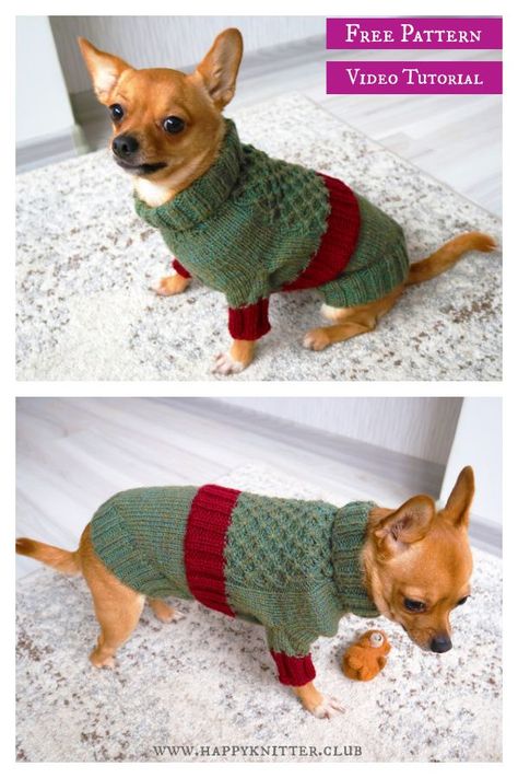 Dog Jumper Knitting Pattern, Christmas Tree Knitting Pattern, Knitting Patterns For Dogs, Sweater Free Knitting Pattern, Knitted Dog Sweater Pattern, Knitting Patterns Free Dog, Dog Sweater Pattern, Small Dog Sweaters, Crochet Dog Patterns