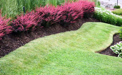 Landscape Your Yard With Beneficial Berms Front Yard Berm Landscaping, Berm Design Ideas, How To Build A Berm Landscapes, Burm Landscaping Ideas, Berms Landscaping Ideas, Embankment Landscaping Ideas, Front Yard Berm, Berm Landscaping Ideas, Landscape Mounds And Berms