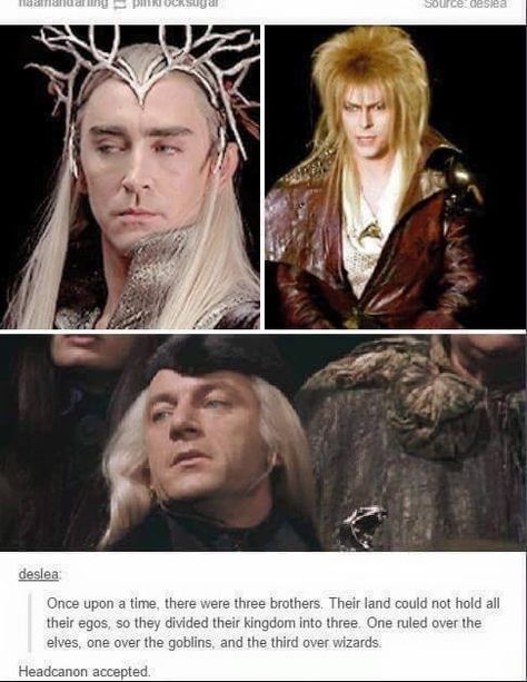 Three brothers divided the Kingdom into three different parts elves, goblins, and wizards. Lol Tumblr Fandom, Glume Harry Potter, Funny Tumblr, Goblin King, Fandom Crossover, Three Brothers, Lee Pace, Thranduil, Legolas