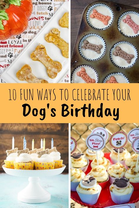 Puppies First Birthday, Dog Party Food, Dog Birthday Party Ideas, Dog Birthday Cupcakes, Pumpkin Dog Biscuits, Birthday Dog Treats, Dog's Birthday, Dog Cake Recipes, Dog First Birthday