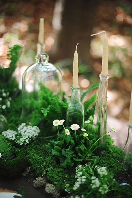 Use reindeer moss in your centerpiece interspersed with plants and flowers. Use fern and boxwood accents to give you center piece volume. Moss Centerpieces, Moss Wedding, Greenery Wedding Decor, Enchanted Forest Wedding, Photography Styling, Cutlery Sets, Botanical Wedding, Deco Floral, Wedding Tablescapes