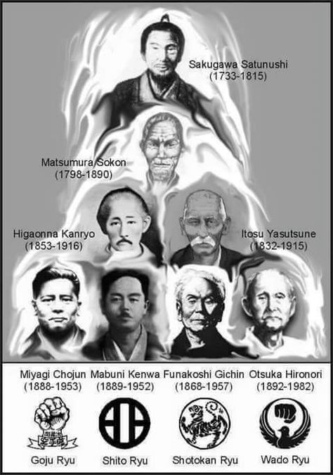 Shito Ryu Karate, Wado Ryu Karate, Okinawan Karate, Goju Ryu Karate, Karate Styles, Goju Ryu, Karate Kata, Karate Dojo, Martial Arts Quotes