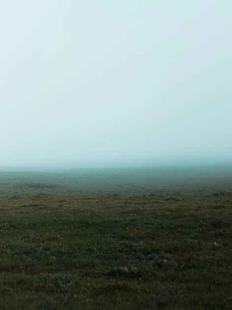 green grass field under white sky during daytime photo – Free Wilsons promontory vic Image on Unsplash Fog Images, Weather Images, Weather Pictures, Wilsons Promontory, Green Grass Field, Night Clouds, Fog Blue, Grass Flower, Sky Mountain