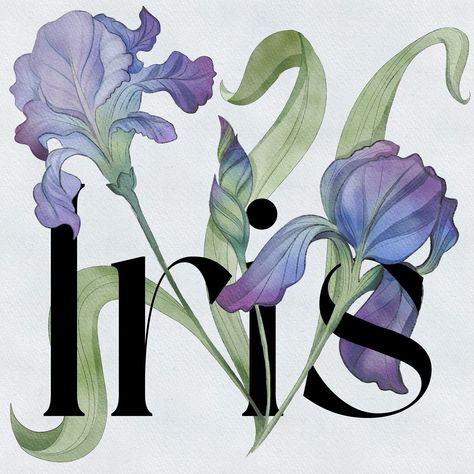 Irises.. #art #design #digitalart #creative #artoftheday #iris #arttherapy #surfacepattern #surface #textiles #wallpaper #floraldesign #floral #botanical Iris Purple Aesthetic, Iris Aesthetic Flower, Irises Aesthetic, Iris Core, Iris Aesthetic, Iris Logo, Iris Illustration, Iris Wallpaper, Purple Iris Flowers