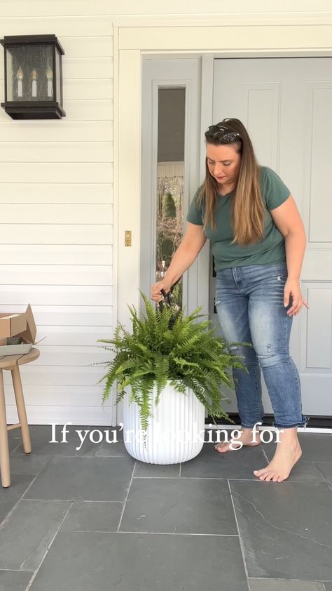 Spring Front Porch with White Fluted Planters and Ferns Plants For Front Door Entrance, Plants For Front Door, Front Porch Refresh, Fluted Planter, Porch Refresh, Front Door Plants, Spring Front Porch, Front Door Entrance, Pot Plants