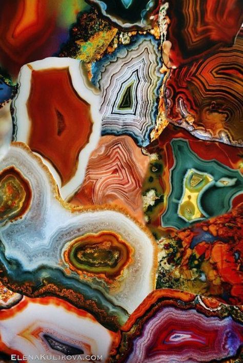 Agate stones Would be an awesome kitchen countertop if possible!!! Agate Slices, Pretty Rocks, Beautiful Rocks, Mineral Stone, Minerals And Gemstones, Rocks And Gems, Patterns In Nature, Gems And Minerals, Stone Rocks