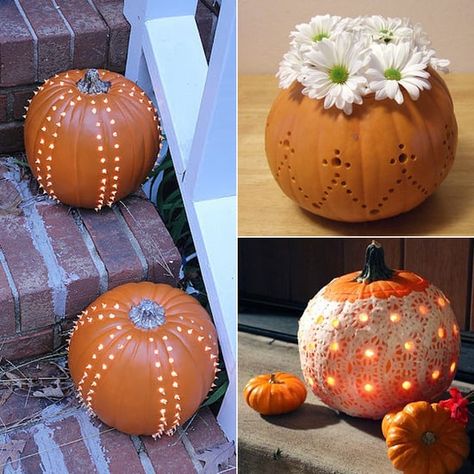 Image Drilled Pumpkin Designs, Drilled Pumpkins, Diy Holiday Treats, Pumpkin Inspiration, Pumpkin Carving Party, Biggest Pumpkin, Pumpkin Designs, Pumpkin Carving Patterns, Fall Decor Inspiration