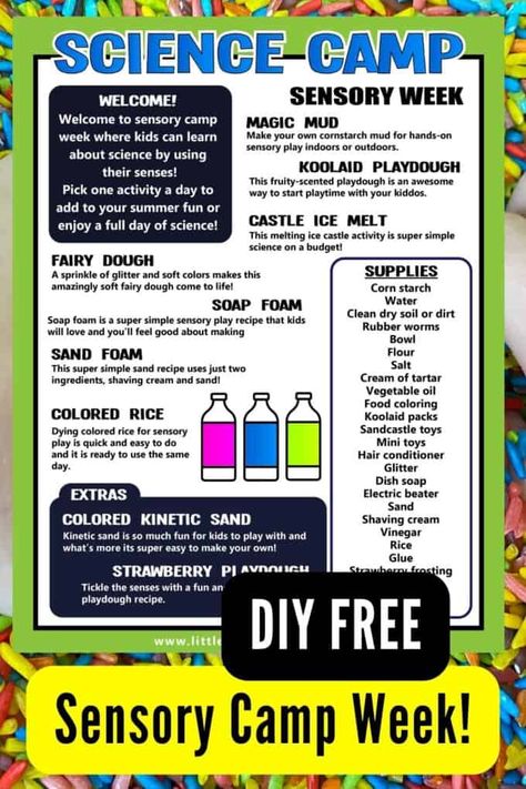 Holiday Club Ideas, At Home Summer Camp Ideas, Summer Camp Weekly Themes, Diy Sensory Play, Summer Camp Activities For Kids, Camp Activities For Kids, Science Summer Camp, Summer Daycare, Camping Activites For Kids