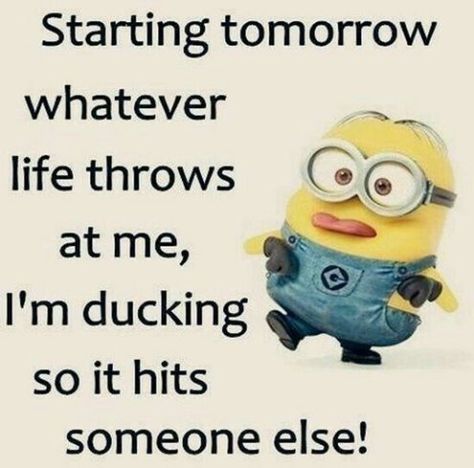 Funny Quotes about funny Sayings Finding a tomorrow, throws it Minion Meme, Funny Minion Pictures, Funny Minion Memes, Minion Pictures, Minion Jokes, Minions Love, A Minion, School Quotes Funny, Funny Minion Quotes