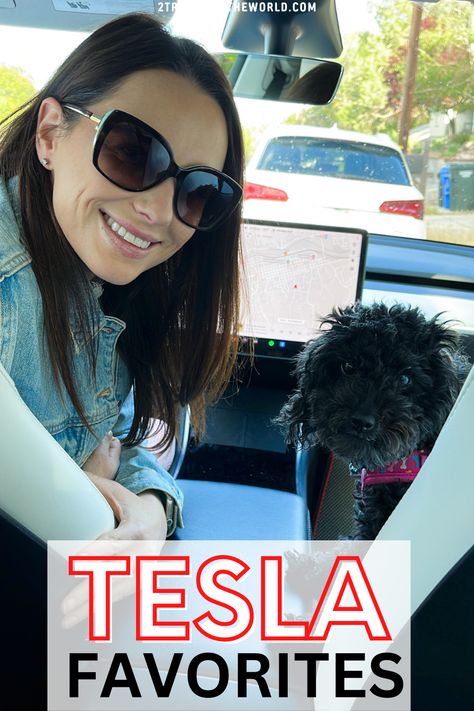 girl and dog in a tesla car. The toy poodle and woman are in the front seat of a tesla model y. The image reads tesla favorites and links to our favorite tesla model y accessories Tesla Model S Accessories, Tesla Car Organization, Tesla Model Y Organization, Car Camping Tesla Model Y, Tesla Model Y Interior Accessories, Tesla Interior Decor, Tesla Key Card Holder, Tesla Model 3 Interior Accessories, Tesla Model Y Accessories 2023