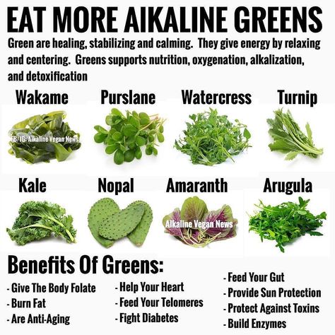 Alkaline Vegan News on Instagram: “Follow @alkalineveganfacts The following are great Chlorophyll sources - try to incorporate one big salad into your daily diet, it will…” Arugula Benefits, Dr Sebi Recipes Alkaline Diet, Alkaline Diet Benefits, Dr Sebi Alkaline, Dr Sebi Alkaline Food, Dr Sebi Recipes, Green Foods, Alkaline Diet Recipes, Food Health Benefits