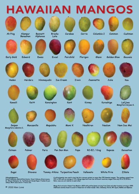 Mango Varieties, Fruit Names, Mango Fruit, Types Of Fruit, Food Charts, Hawaiian Food, Food Info, Exotic Fruit, Tropical Fruits