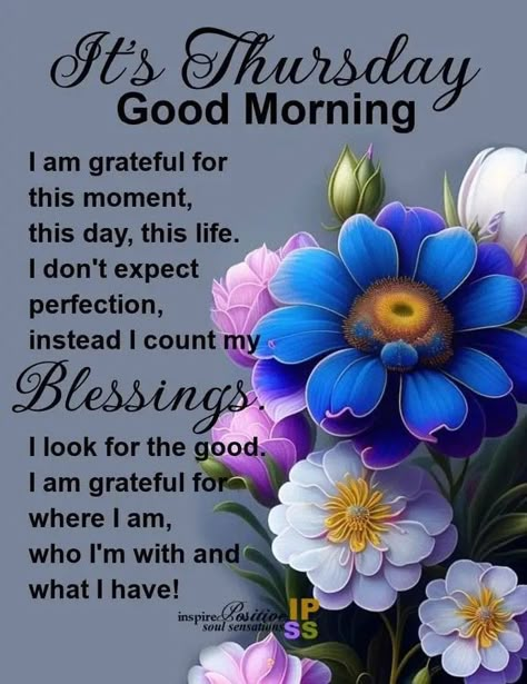 Thursday Wishes, Thursday Morning Quotes, Thursday Greetings, Morning Thursday, Thursday Blessings, Good Morning Happy Thursday, Morning Sayings, Monthly Quotes, Good Morning Thursday