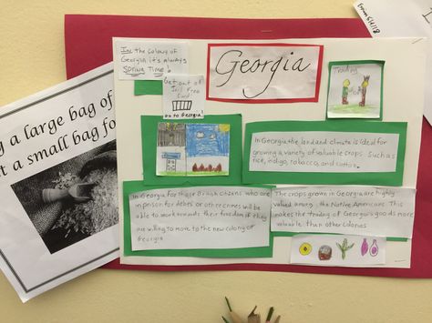 Georgia Georgia Colony Project, Project Poster Board, Middle Colonies, State Project, Project Poster, 5th Grades, Poster Board, 4th Grade, School Projects