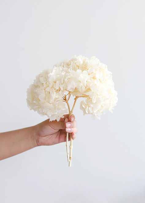 Dried Hydrangeas Centerpiece, Hydrangea Centerpieces, Flowers And Vases, Preserved Hydrangea, Eucalyptus Lavender, Hydrangea Centerpiece, Dried Hydrangeas, Preserved Flowers, White Wedding Flowers