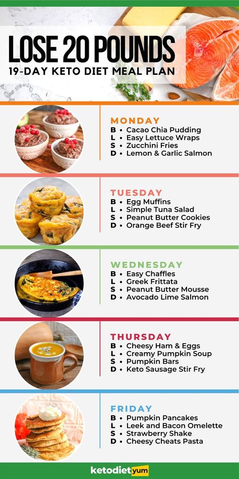 Easy Lettuce Wraps, Keto Quiche, 1000 Calorie, Creamy Pumpkin Soup, Motivasi Diet, Easy Keto Meal Plan, Keto Lasagna, Breakfast Low Carb, Baking Powder Uses