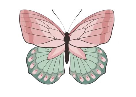 Pink And Green Butterfly, Photo Cake Topper, Butterfly Decoration, Butterfly Png, Cartoon Butterfly, Small Butterfly, Green Butterfly, Butterfly Decorations, Photo Cake