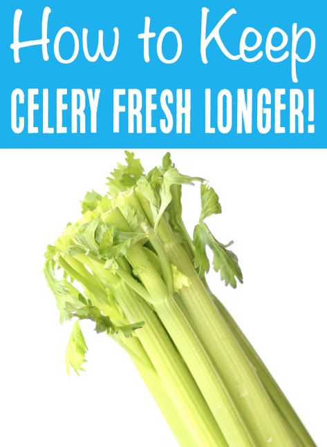 Keeping Celery Fresh In Fridge, Celery Storage Fridge, Keep Celery Fresh Longer, How To Keep Celery Fresh Longer, Best Way To Store Celery In Fridge, Store Celery In Fridge, How To Keep Celery Fresh In Fridge, Storing Celery In Fridge, How To Store Celery In The Fridge