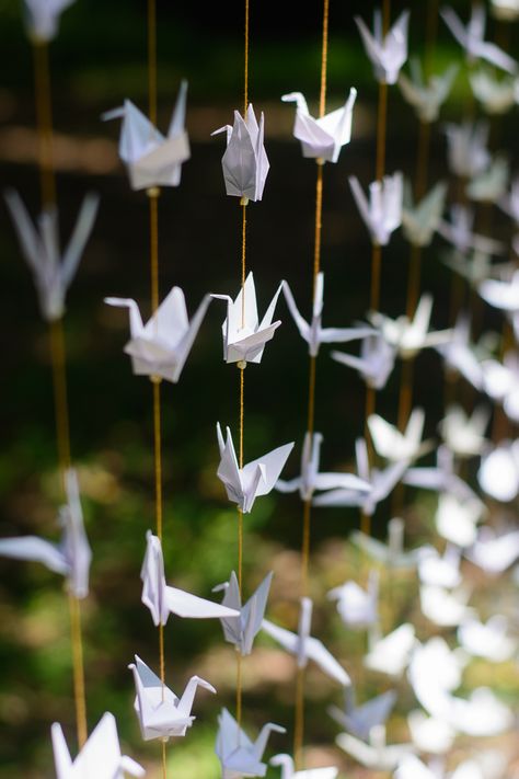 How to Use Origami Paper Cranes For an Amazing Wedding Backdrop Paper Crane Garland Diy, Origami Birds Wedding, How To Hang Origami Cranes, Paper Crane Backdrop, Paper Crane Garland, Hanging Paper Cranes, Origami Crane Decoration, Origami Hanging Decorations, Oragami Birds