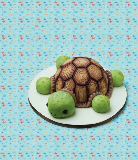 Turtle cake Tortoise Cake, Tortoise Diet, Turtle Birthday Cake, Russian Tortoise Diet, Russian Tortoise, Tortoise Care, Turtle Cake, Going Nowhere, Turtle Birthday