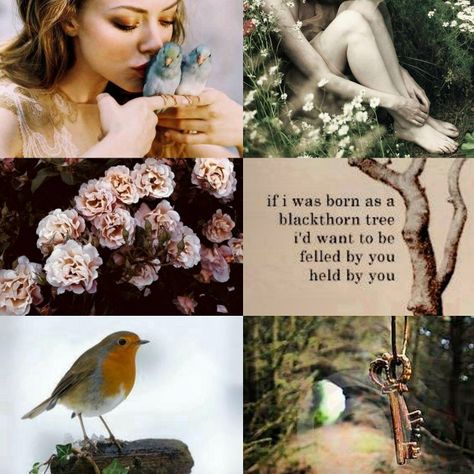 Mary Lennox Aesthetic, Mary Lennox The Secret Garden, The Secret Garden Aesthetic, Garter Tops, Secret Garden Aesthetic, Fairy Academia, Princess Cottage, Fantasy Collage, Blood Magic