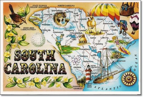 13 Things Everyone Who's Moved Away From South Carolina Has Thought At Least Once Rhyolite Ghost Town, Moving To South Carolina, South Carolina Travel, Palmetto State, State Birds, Us Road Trip, Usa Map, State Map, Road Trip Usa