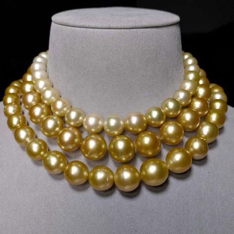 Golden Colour South Sea Pearl Necklace with 18k Gold Clasp For Sale at 1stDibs South Sea Pearl Necklace, Golden Colour, Big Necklace, Golden South Sea Pearls, Cartier Jewelry, Sea Pearl, South Seas, South Sea Pearls, Golden Color