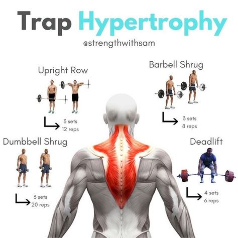 Shoulder And Trap Workout, Trap Workout, Arm Training, Ace Fitness, Traps Workout, Shoulders Workout, Gym Exercises, Gym Antrenmanları, Love Handle Workout