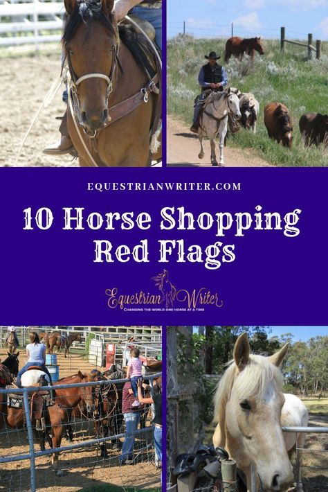 10 red flags to look for when purchasing your new horse. Farm Horses, Backyard Homestead, Horse Ownership, Buy A Horse, Riding Tips, Horse Shop, Horse Care Tips, Horse Facts, Equine Therapy