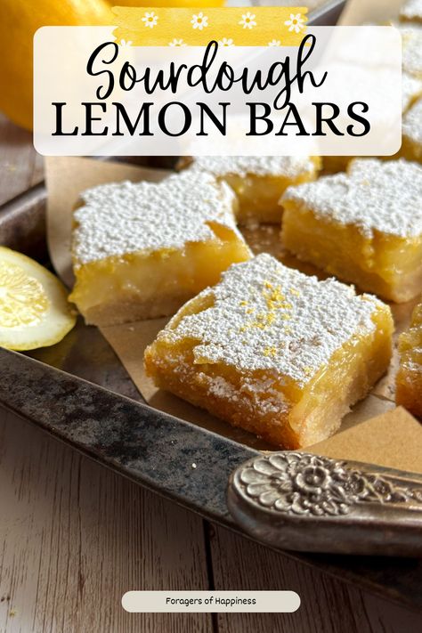 Spring and summer are here and the warmer weather calls for all things lemon flavored! These sourdough lemon bars are the perfect treat to enjoy for any occasion. Easter, Mother’s Day, Memorial Day, Labor Day, Father’s Day, or 4th of July are just a few of the occasions to serve these sourdough discard lemon bars. This is the perfect sourdough discard recipe for lemon lovers. This sourdough recipe starts with a base of sourdough shortbread cookie dough and is filled with sourdough lemon curd. Discard Lemon Bars, Sourdough Discard Protein Bars, Sourdough Discard Lemon Bars, 4th Of July Sourdough, Sourdough Lemon Bars, Easter Sourdough Recipes, Sourdough Bars, Sourdough Easter Recipes, Sourdough Discard Sweets