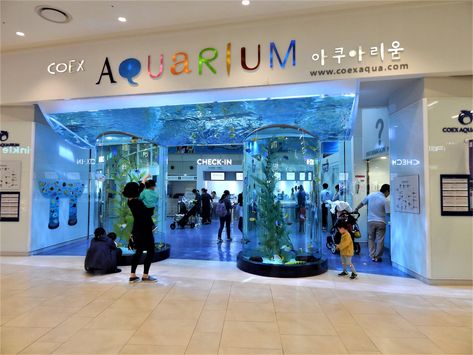 Coex Aquarium Seoul, Aero Frutiger, Ichigo Momomiya, Cool Fish Tanks, Physical Media, Frutiger Aero, Cool Fish, Apartment Decor Inspiration, The Meadows