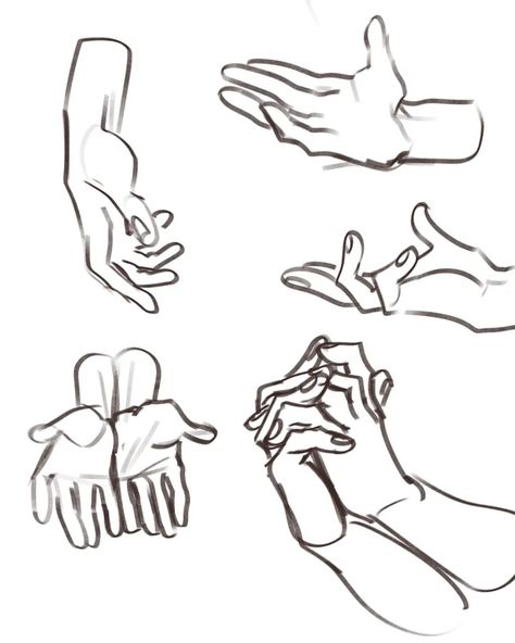 Hand And Arm Drawing, Hand Pose Reference, Faces Artwork, Drawing Bodies, Hand References, Hand Study, Drawing Hands, Hand Drawing Reference, Anatomy Sketches