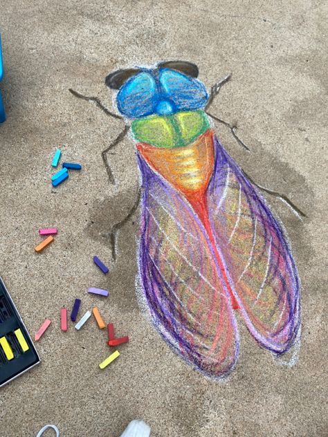 Bug Chalk Art, Simple Chalk Art Sidewalk, Cool Chalk Drawings, Chalk Art Ideas, Street Chalk Art, Chalk Designs, Fun Chalk Art, Chalk Ideas, Chalk Design