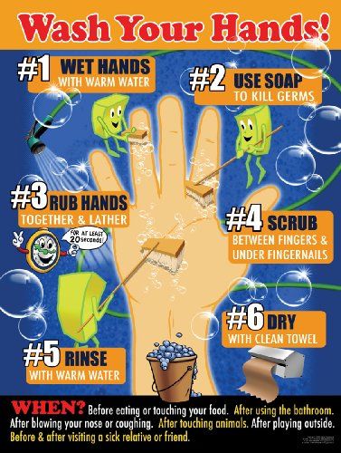 Hand Hygiene Posters, Hygiene Activities, Hand Washing Poster, School Nurse Office, Health Fair, Healthy Lifestyles, School Health, Nurse Office, Hand Hygiene