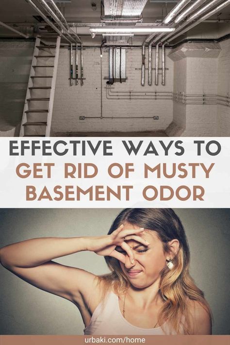 Basement Cleaning Unfinished, Simple Unfinished Basement Ideas, How To Clean A Basement, Bathroom In Unfinished Basement, Organizing Basement Unfinished, Rental Basement Makeover, Smelly Basement Remedy, Basement Unfinished Ideas, Basement Clean Out