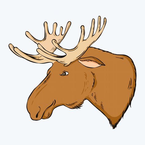 Vector vintage moose hand drawn clipart | free image by rawpixel.com / Noon Moose Cartoon, Wildlife Drawings, Head Illustration, Moose Head, Watercolor Paintings Of Animals, Free Illustration Images, Drawing Clipart, Clipart Free, Vintage Drawing