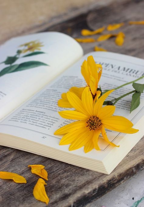 books #catbooksreading Yellow Aesthetic Pastel, An Open Book, Bookstagram Inspiration, Book Flowers, Sunflower Wallpaper, Yellow Wallpaper, Foto Art, Yellow Aesthetic, Open Book