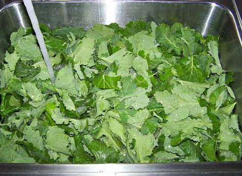 Water pouring on picked turnip greens in a stainless steel sink Fresh Turnip Greens Recipe, Buzzfeed Recipes, Water Pouring, Turnip Recipes, Turnip Greens, Stainless Steel Sink, Buzzfeed Food, Greens Recipe, Meatless Meals