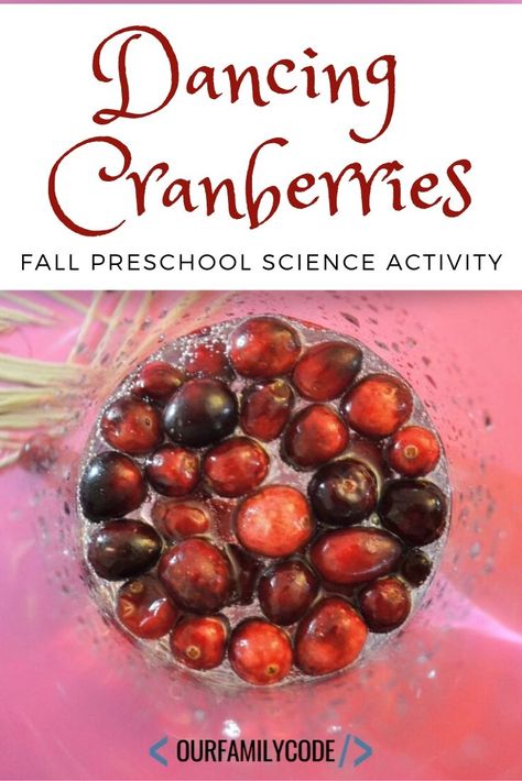 Experiment with dancing cranberries with this super simple preschool science activity while observing concepts like floating and sinking. #preschool #STEM #totschool #scienceforkids Fall Preschool Science, Homeschooling Activities, Crispy Oven Fried Chicken, Bacon Grilled Cheese, Chimichurri Recipe, Science Experiments For Preschoolers, Oven Fried Chicken, Pan Seared Salmon, Fall Preschool