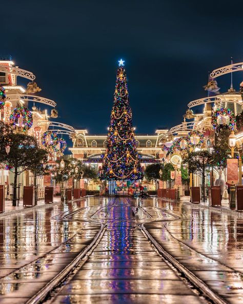 Theme Park Alex on Instagram: “Christmas on Main Street 🏰 ⁣ ⁣ #christmas #waltdisneyworld #disneyworld50 #magickingdom #canon” Disneyland Main Street, Instagram Christmas, Disney Holiday, The Castle, Magic Kingdom, The View, Main Street, Disney Parks, Walt Disney World