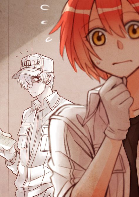 Calls At Work Anime, White Blood Cell X Red Blood Cell, Red Blood Cell X White Blood Cell, Cells At Work White Blood Cell, Cells At Work Red X White, Cells Art, White Blood Cell, Work Icon, Cells At Work