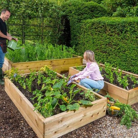 Allotment Ideas Budget, Allotment Raised Beds, Raised Veg Beds, Raised Bed Kits, Allotment Ideas, Raised Bed Gardening, Timber Planks, Building A Raised Garden, Garden Flower Beds